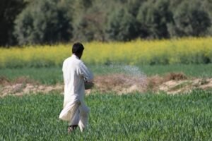 farmers crisis fertilizer fuel — Photo by Dr Photographer on Pexels