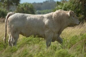 florida ag launches — Photo by Arian Fernandez on Pexels