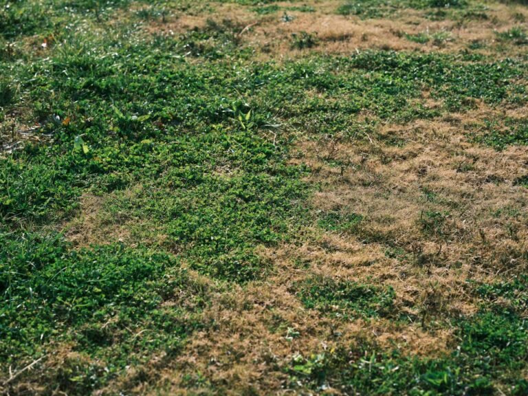 BOMBSHELL: Supreme Court Weighs Risks of Weed Killer Amidst Controversy