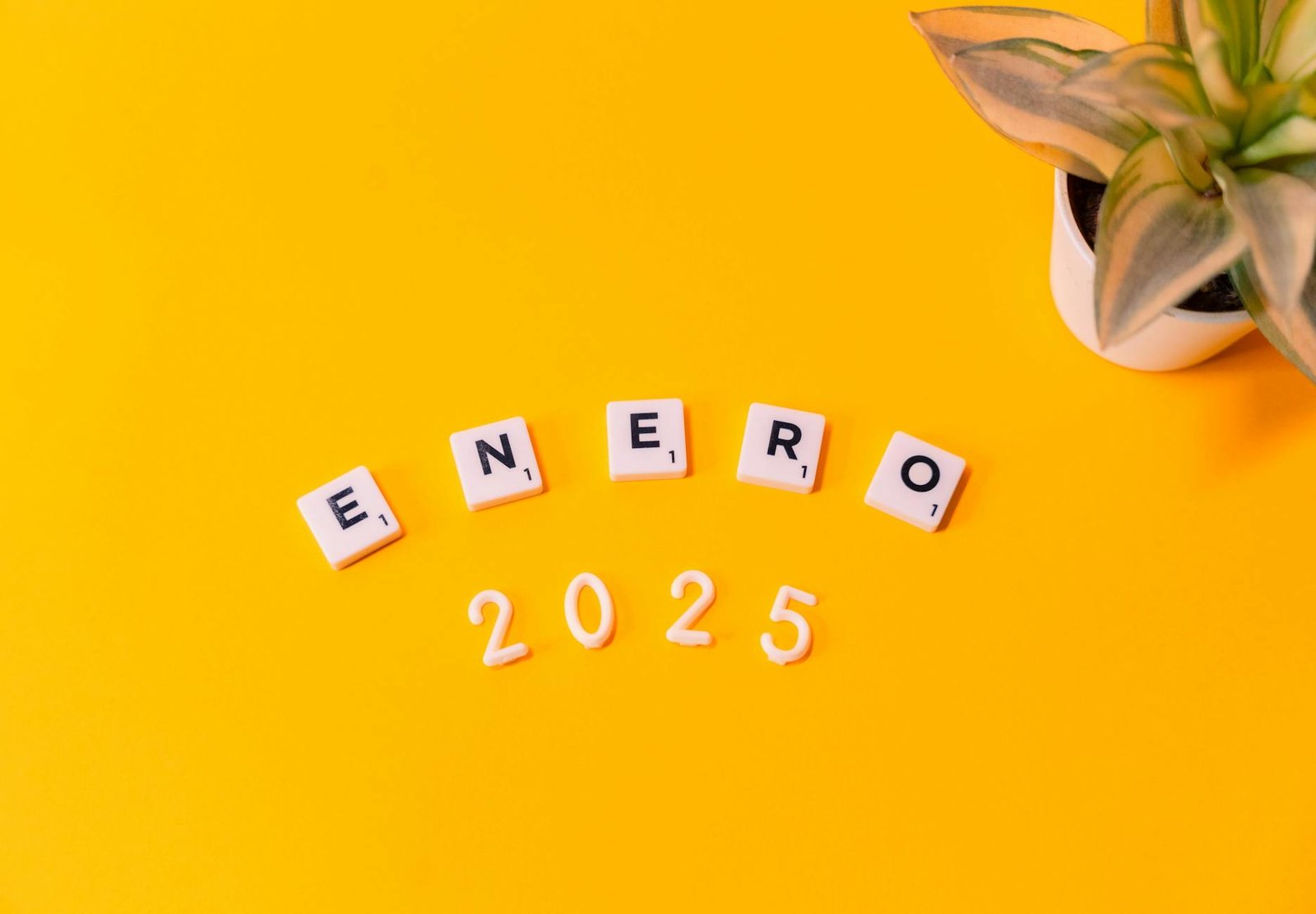 Medicare Open Enrollment 2025: The Deadlines You Cannot Miss