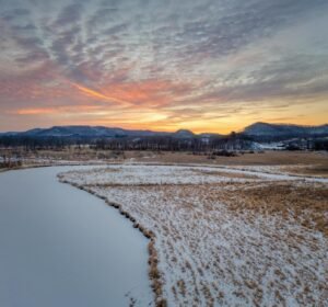 murphy tells us — Photo by Tom Fisk on Pexels
