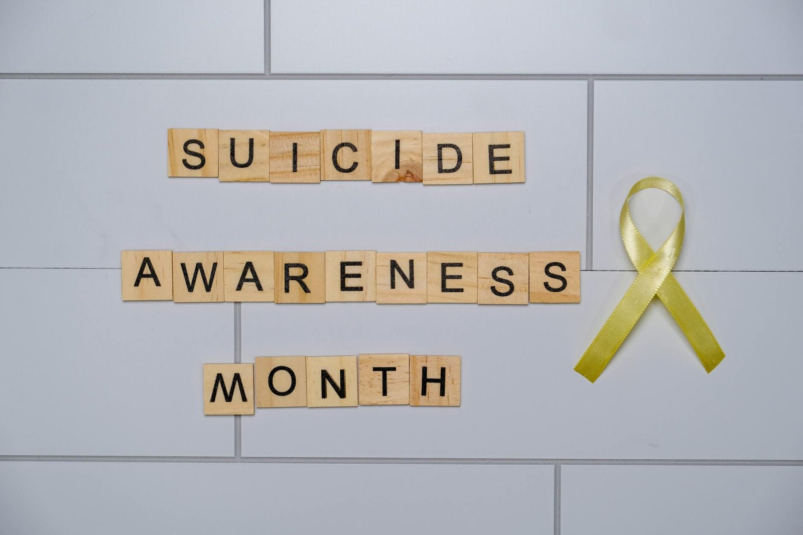 ANALYSIS: VETERAN SUICIDE CRISIS 22 PER DAY IGNORED