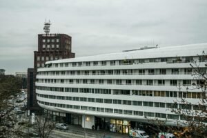 why steve hilton — Photo by SHOX ART on Pexels