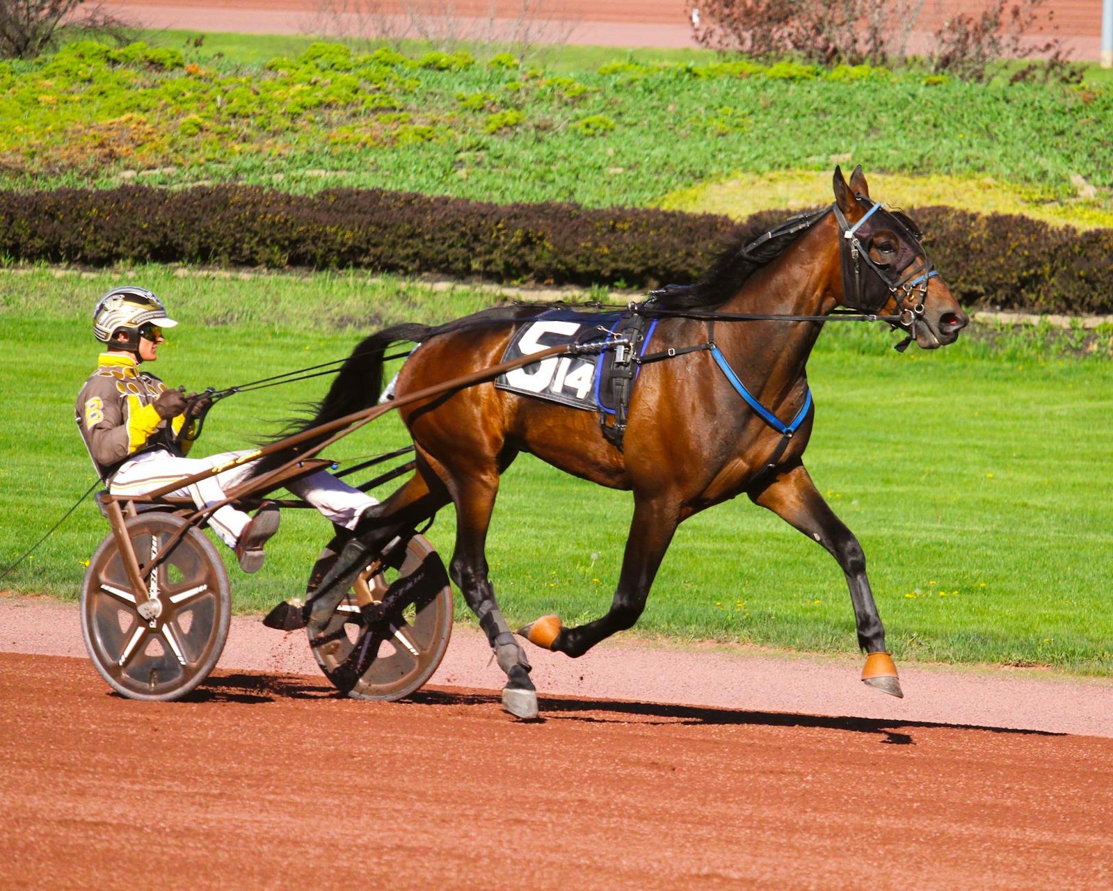 COMING SOON: GOLDEN TEMPO TAKES THE KENTUCKY DERBY AS CHERIE DEVAUX BECOMES TH