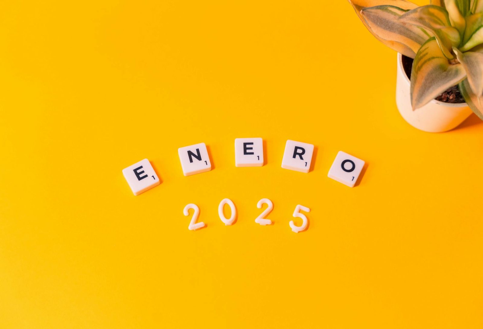Medicare Open Enrollment 2025: The Deadlines You Cannot Miss